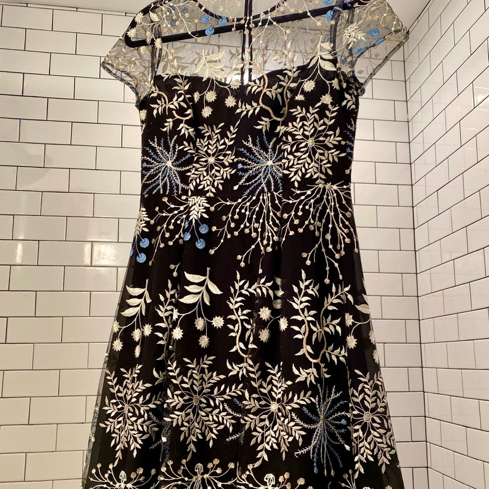 Adrianna Papell Ethereal Fit and Flair